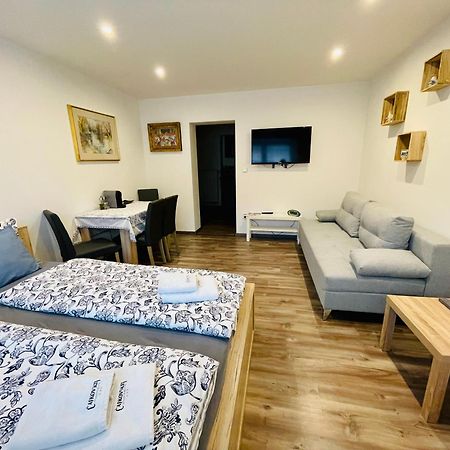 Cajkovskij Apartments Brno-Jih Екстер'єр фото
