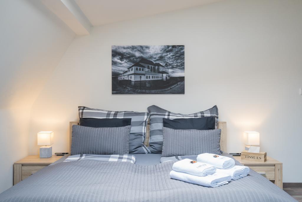 Cajkovskij Apartments Brno-Jih Екстер'єр фото